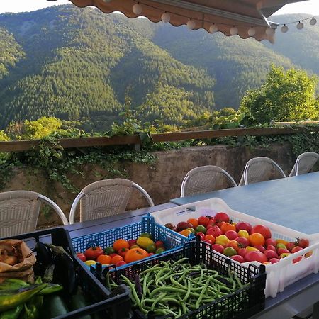 Les Chambres De La Ferme De Chalas Valgorge Extérieur photo