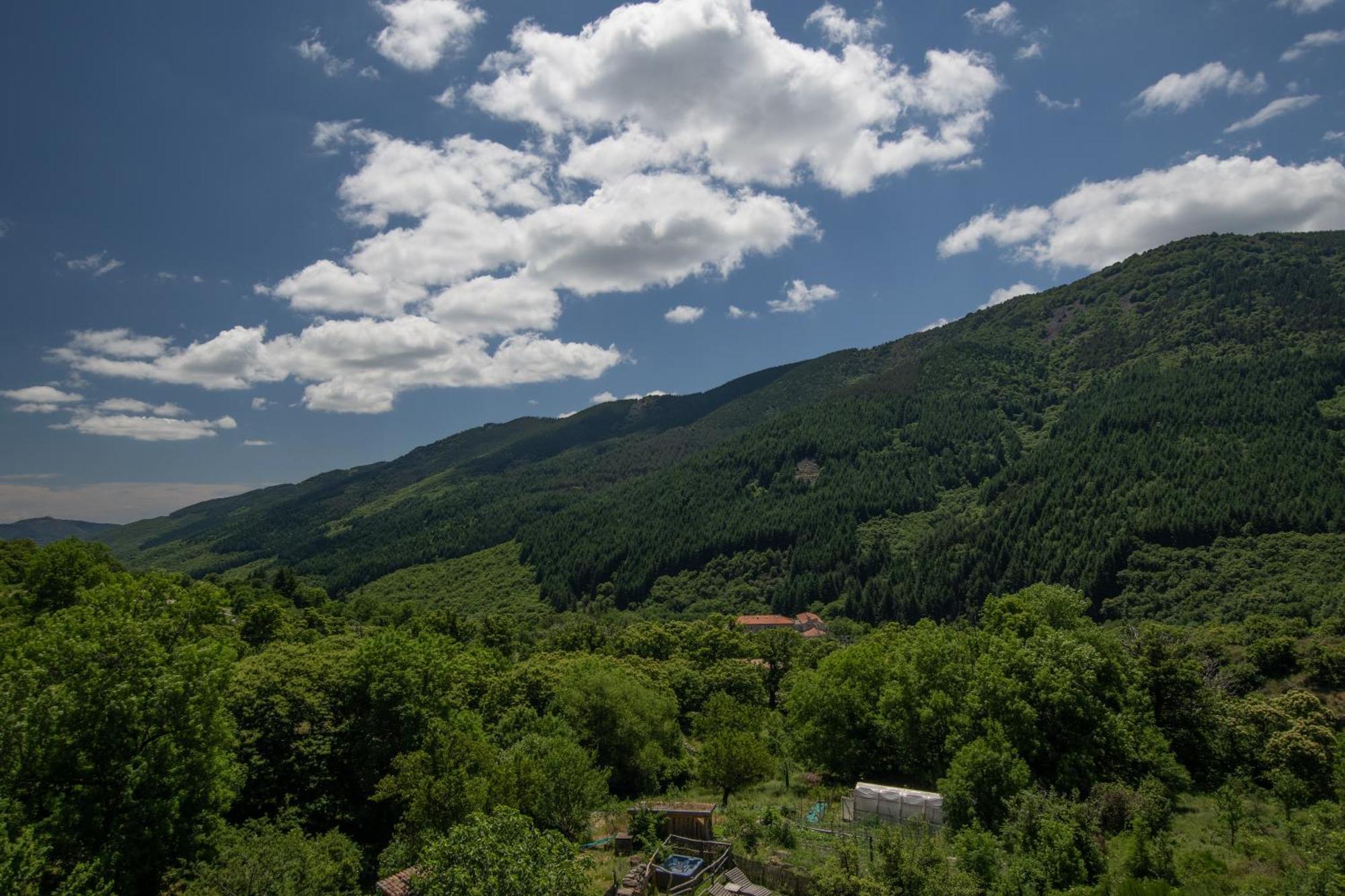 Les Chambres De La Ferme De Chalas Valgorge Extérieur photo